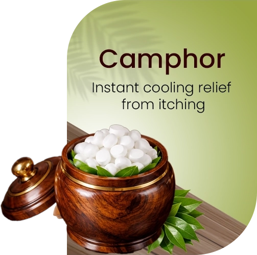 Wooden container with camphor balls and leaves on a green background with text about camphor's benefits.