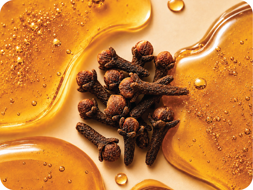 Cloves on a background with honey-like liquid