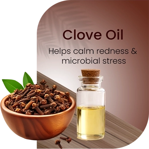 Clove oil with a bottle and bowl of cloves on a wooden surface
