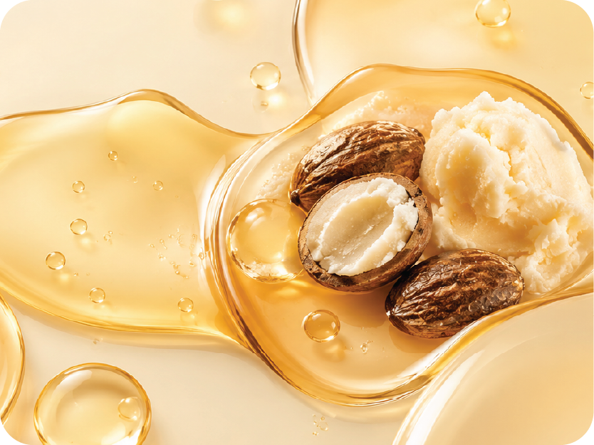 Close-up of nutmegs and a white cream in a golden liquid